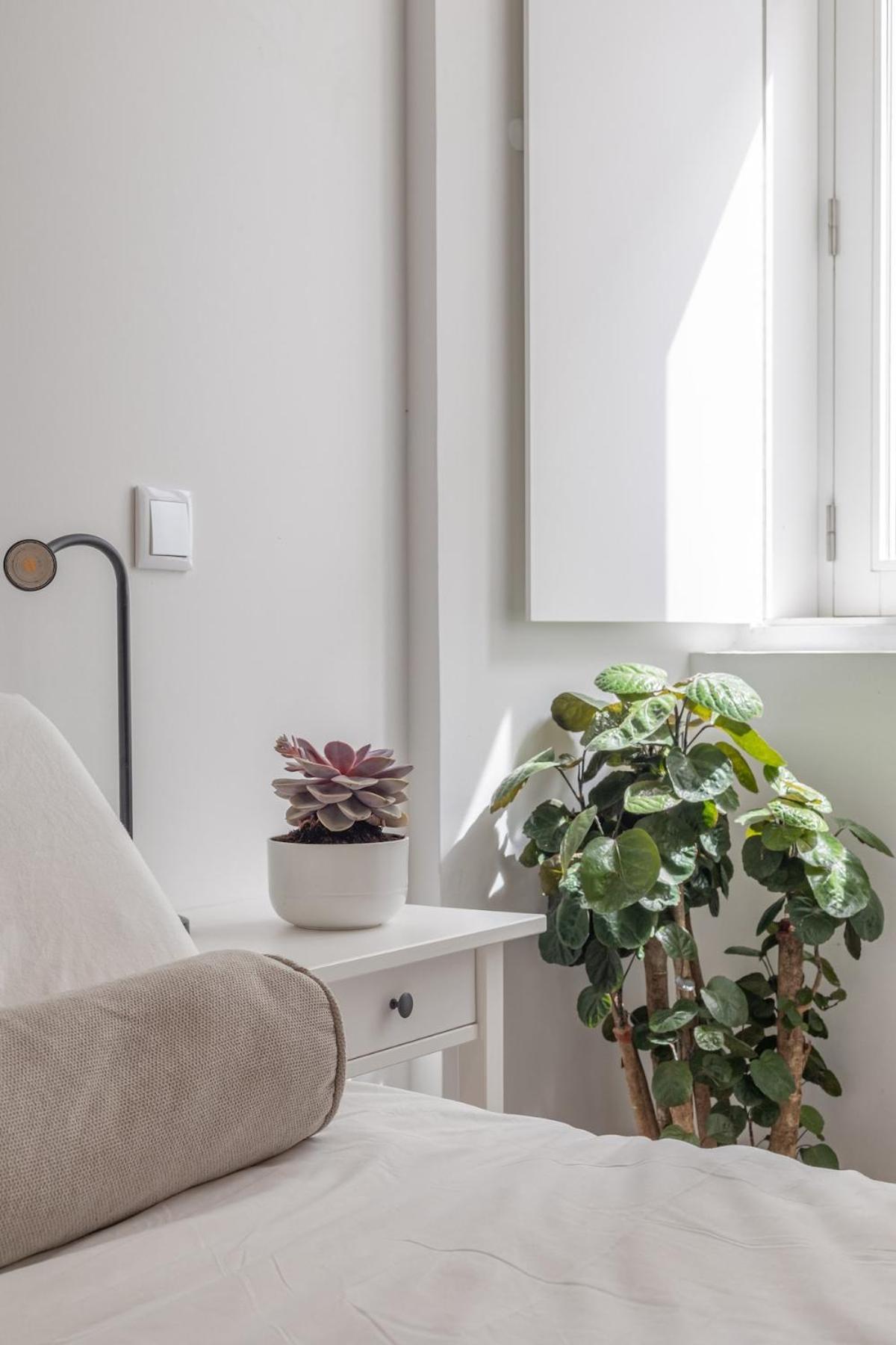 Apartament Casa Tamar Lagos Zewnętrze zdjęcie
