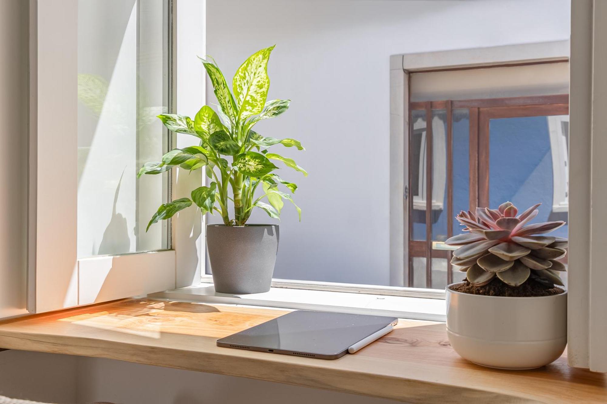 Apartament Casa Tamar Lagos Zewnętrze zdjęcie