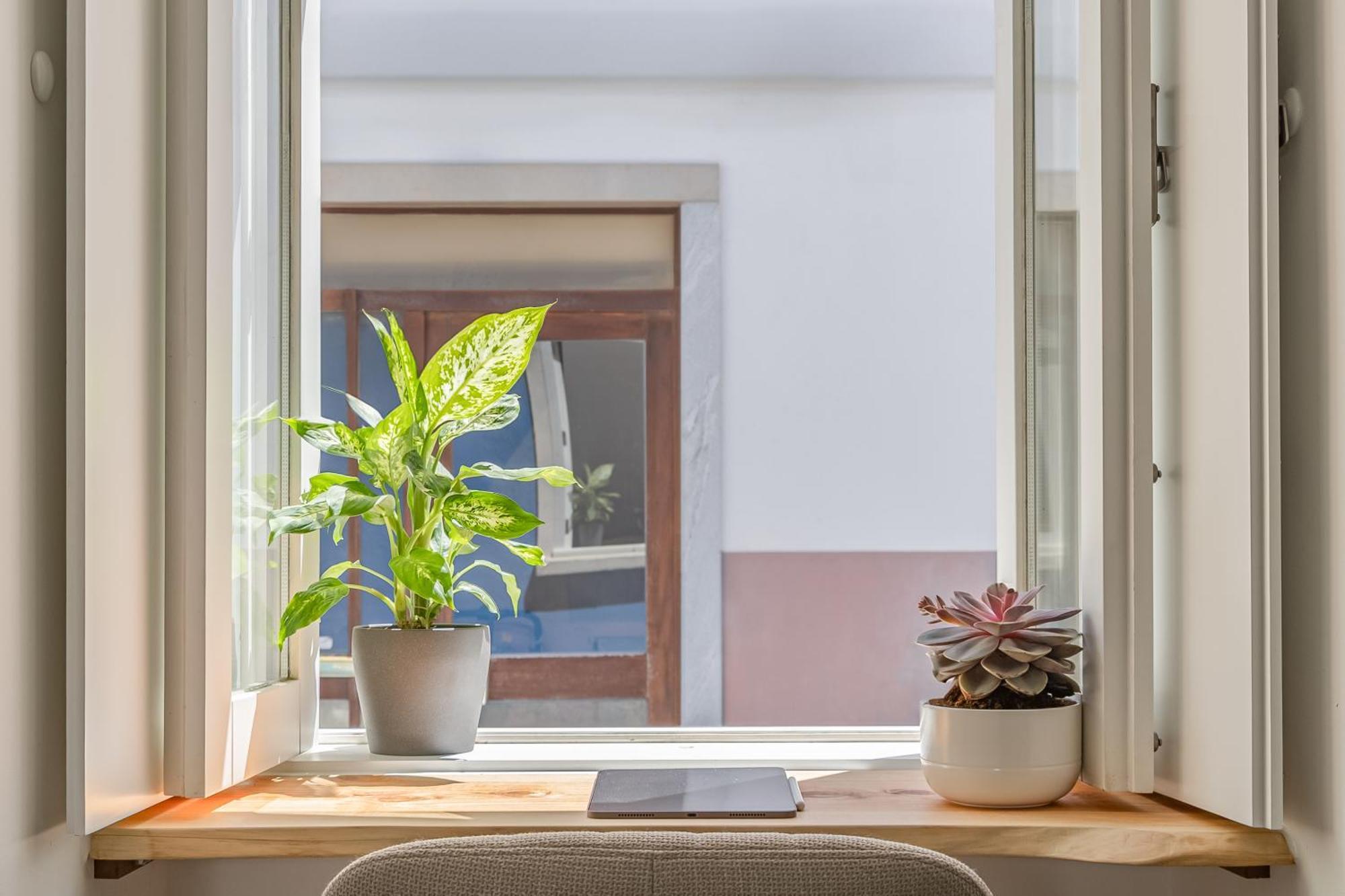 Apartament Casa Tamar Lagos Zewnętrze zdjęcie